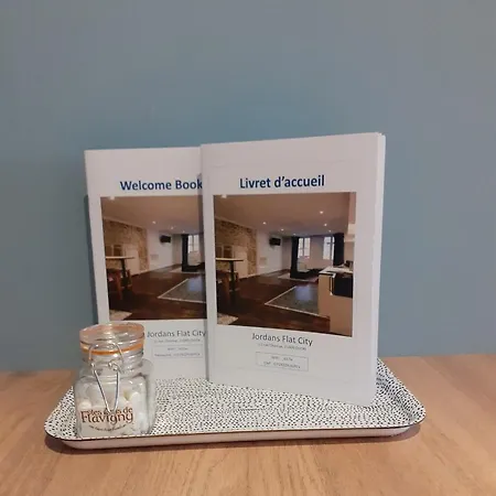 Cordeliers Jordans Flat City Centre Historique * Dijon