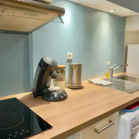 Les Ducs De Bourgogne En Hyper Centre Apartment Dijon