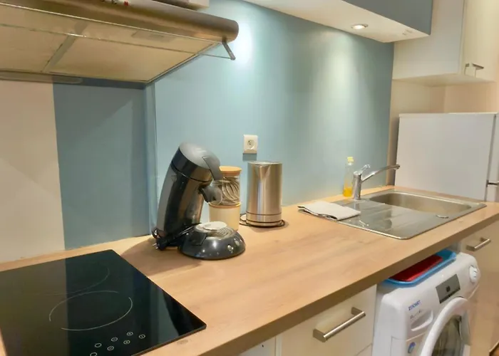 Les Ducs De Bourgogne En Hyper Centre Apartment Dijon