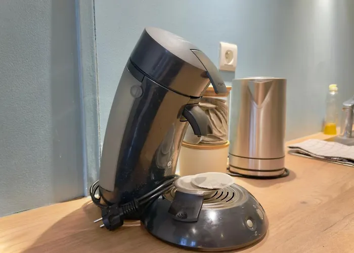 Apartment Les Ducs De Bourgogne En Hyper Centre Dijon