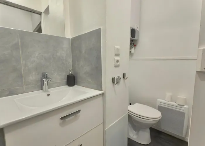 Les Ducs De Bourgogne En Hyper Centre Ντιζόν